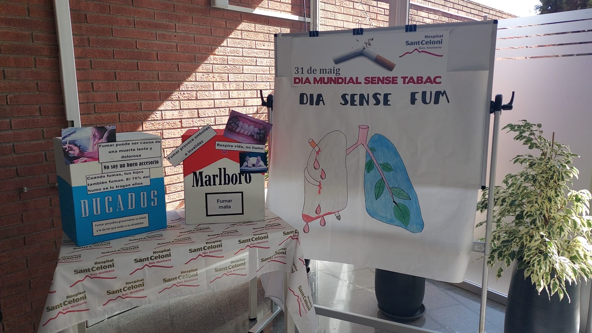 dia mundial sense tabac