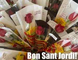 Roses vermelles empaquetades amb targetes Bon Sant Jordi per celebrar la festivitat catalana de Sant Jordi.