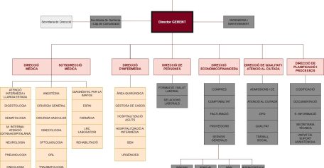 Organigrama hospitalari amb PATRONAT, Director GERENT i les 6 direccions principals amb els seus departaments